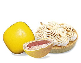 Dragées tarte citron - 500gr