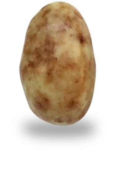 Dragées Amande chocolat Crème brûlée - 150gr