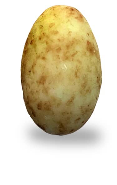 Dragées Amende chocolat Tiramisu