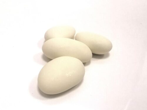 dragees avola duchesse champagne