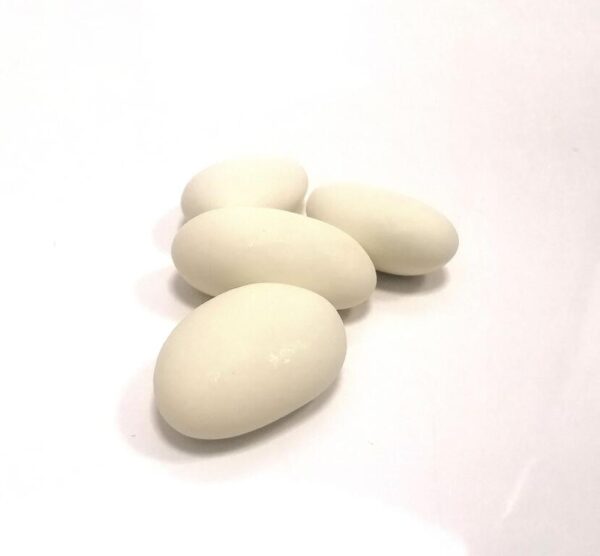 dragees avola duchesse champagne