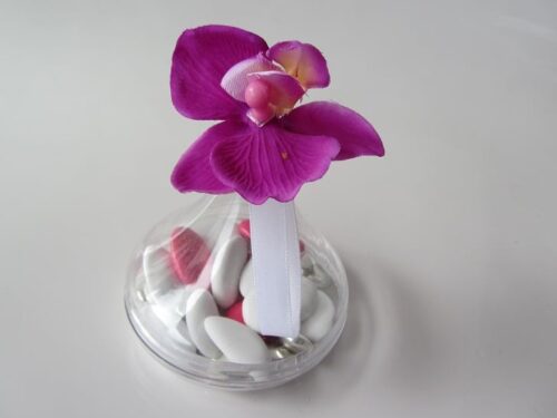 goutte plate a dragees