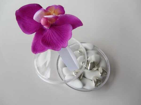 goutte plate a dragees