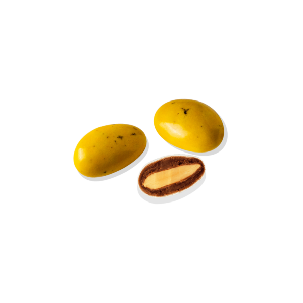 Galet Médicis Lorenzo - Jaune - 250 g