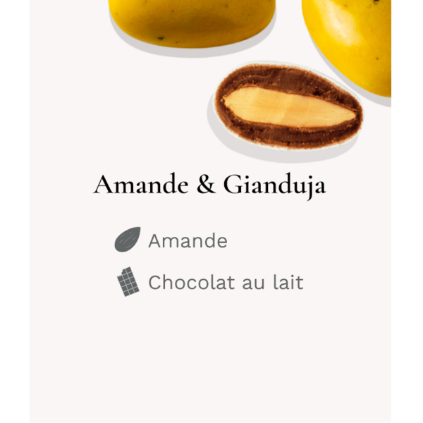 Galet Médicis Lorenzo - Jaune - 250 g