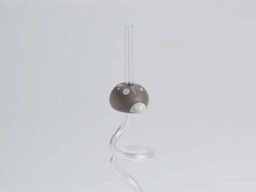 paille coccinelle taupe