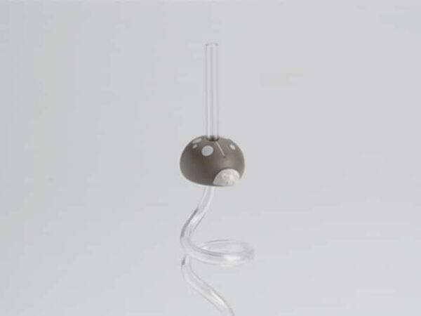 paille coccinelle taupe