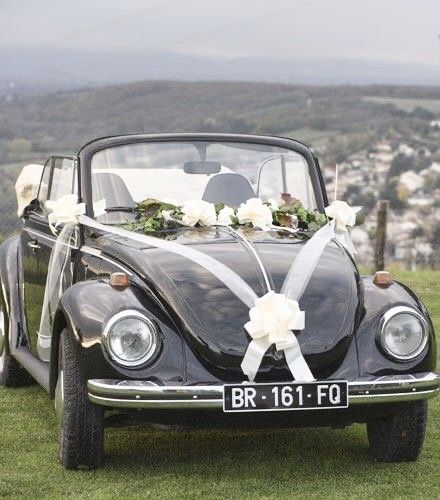 Noeud Voiture Mariage - Ivoire- Lot de 4