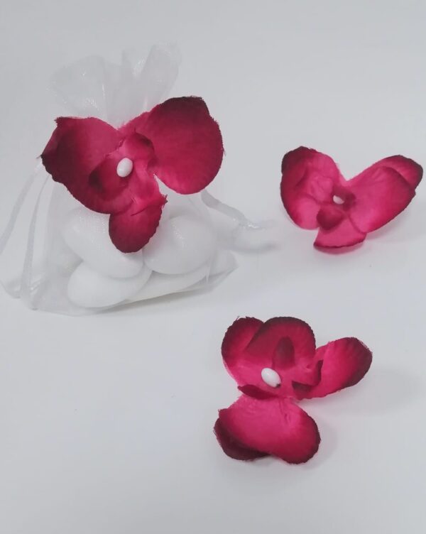 orchidees dragees fuchsia bordeaux