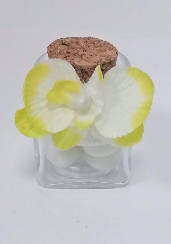 orchidées vert anis