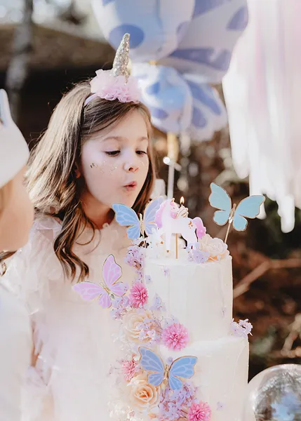 pic a gateau papillon