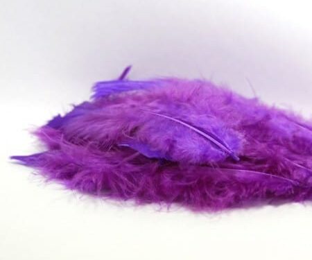 Plume violette - Lot de 20