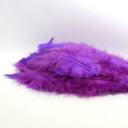 Plume violette - Lot de 20