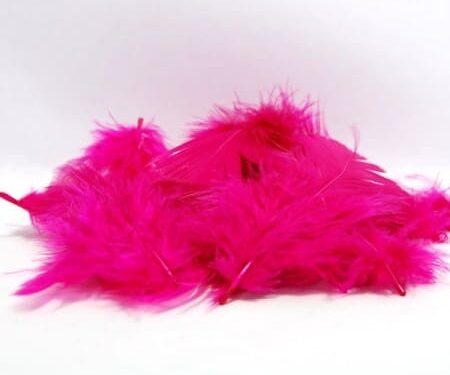 Plume fuchsia -Lot de 20