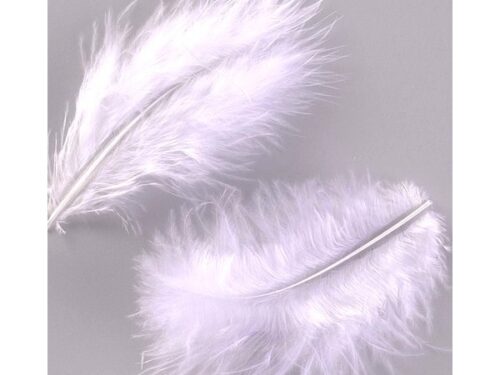 plume blanche