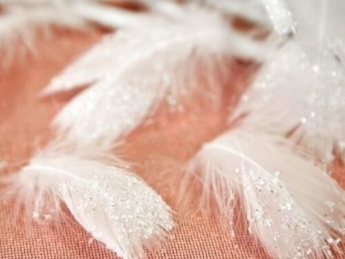 plume pailleté blanche