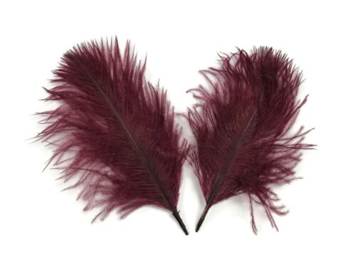 plumes bordeaux