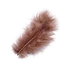 Plume chocolat - Lot de 20