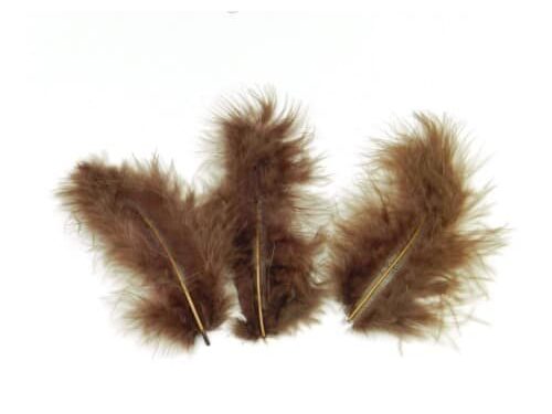 Plume chocolat - Lot de 20