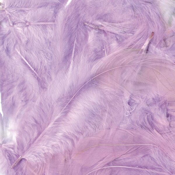 plumes mauve parme lilas