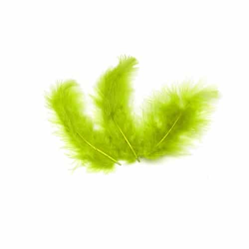 plumes vert anis