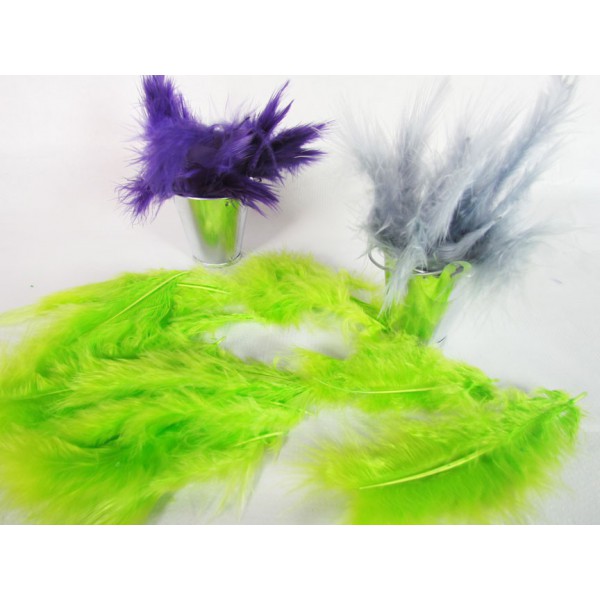 Plume vert anis - Lot de 20