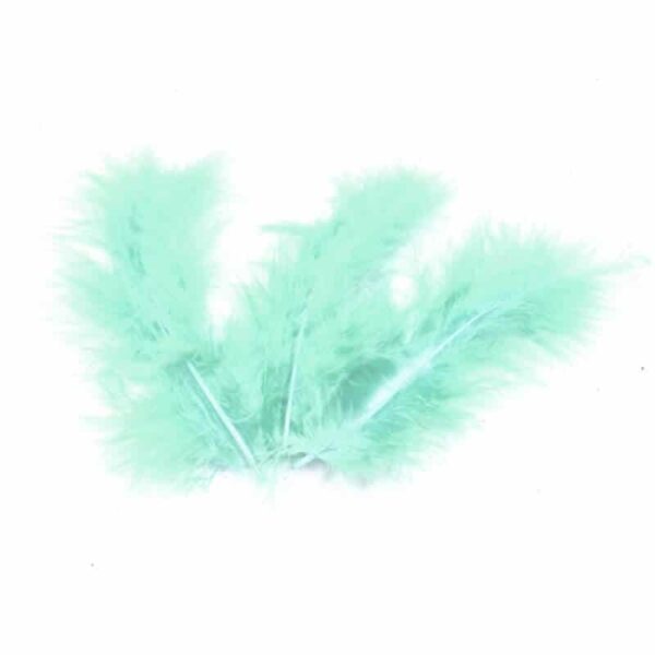 plumes vert d'eau
