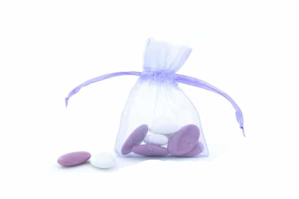 sac a dragées organza bleu ciel